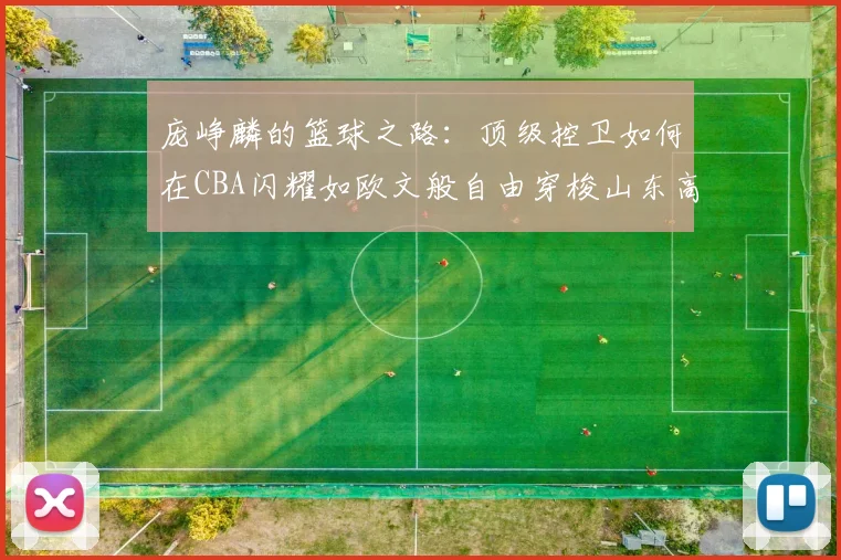 庞峥麟的篮球之路：顶级控卫如何在CBA闪耀如欧文般自由穿梭山东高速